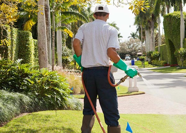 About Huntington TX Pest Control